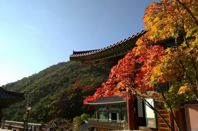 韩国旅游攻略畅游首尔五日四晚游,畅游首尔