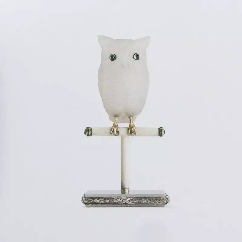 长知识升逼格｜来看看大蜥蜴国有多了不起