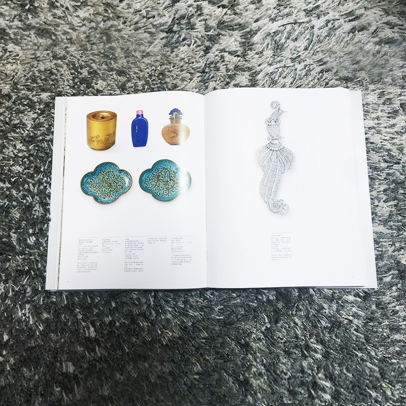 长知识升逼格｜来看看大蜥蜴国有多了不起