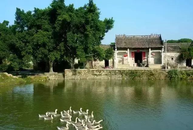 不出深圳的国庆游玩攻略,深圳国庆不出深自驾游推荐