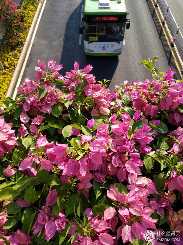 魅蓝note6有多好火,2019年魅蓝note6还够用吗