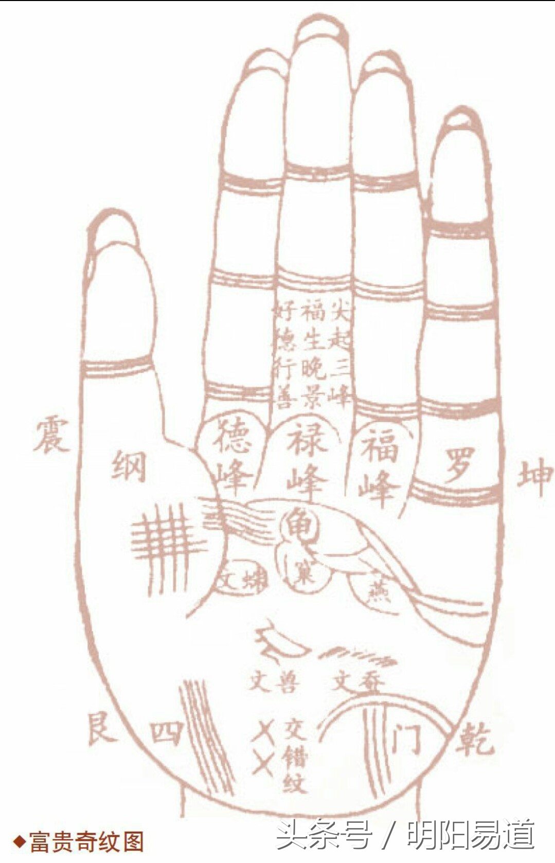 手相分析人生运势图片大全,手相看运势分析图怎么看