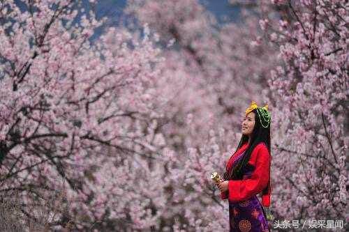 《桃园春色》作吟诗：大诗人滕远渊，千古名流之作