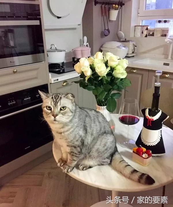 拒绝性冷淡,她把马卡龙色涂上了墙