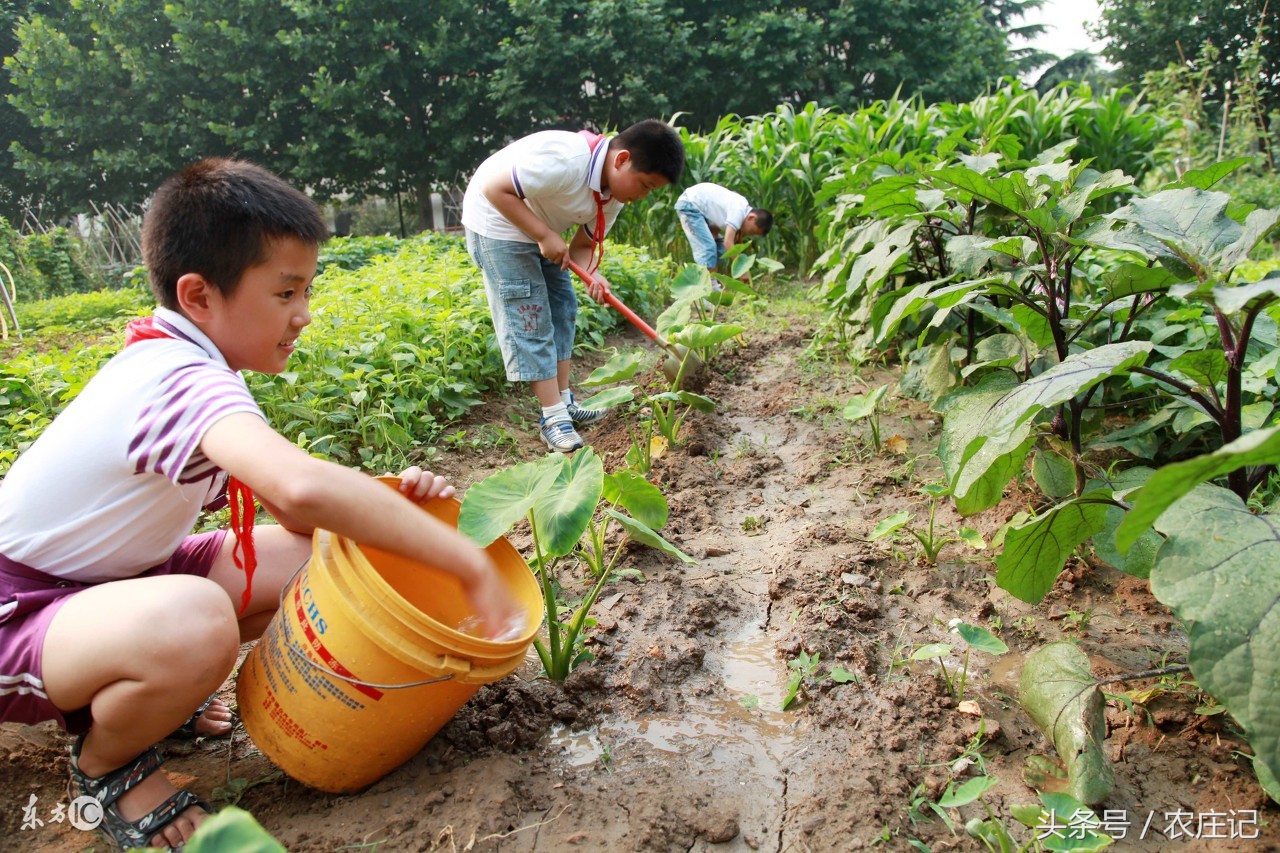 苏北农村什么地方值得游玩,江苏特色农村