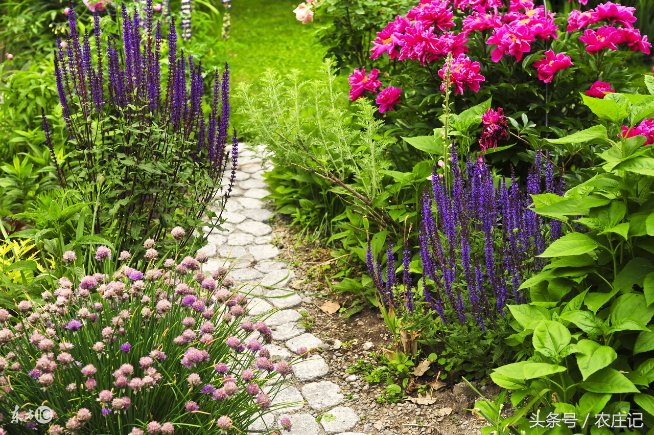 苏北农村什么地方值得游玩,江苏特色农村