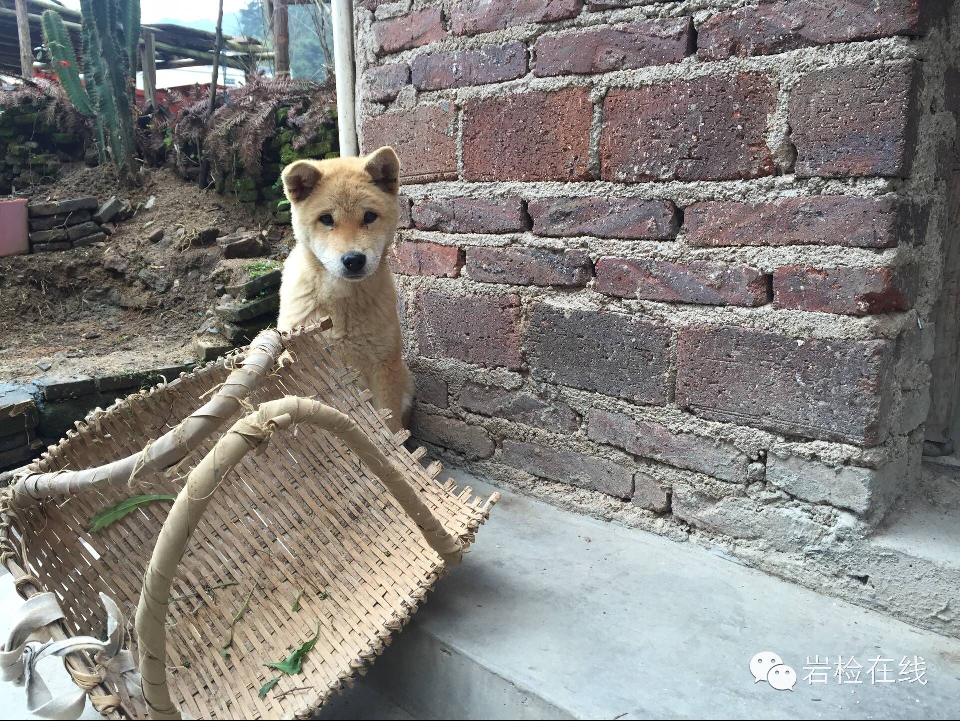 龙岩人穷吗,龙岩新罗区穷吗