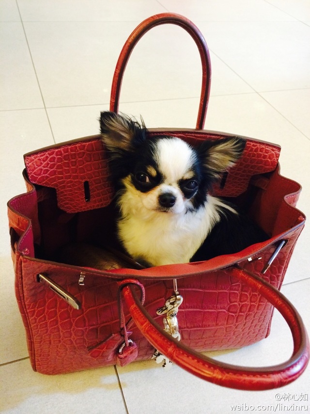 炫富技术活,炫富是一种技术