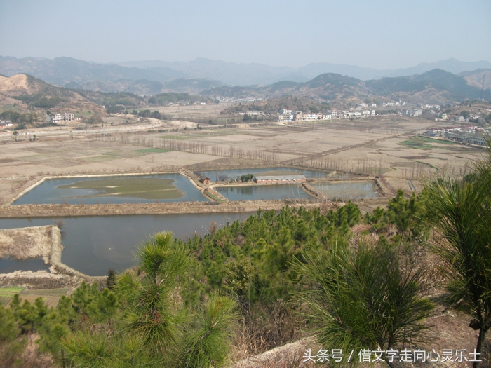 真切怀念老乡邓国金