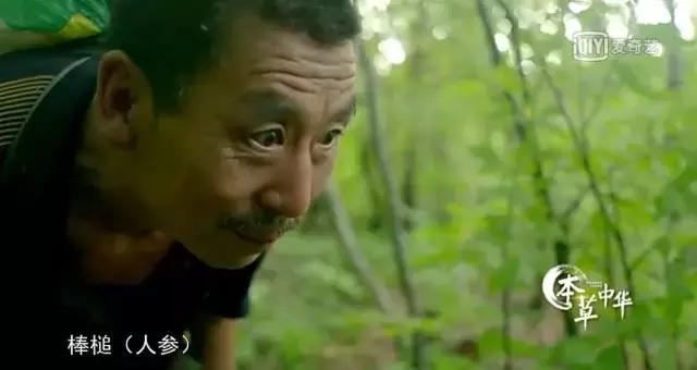 8.9,我们的片终于抢在韩国人前面