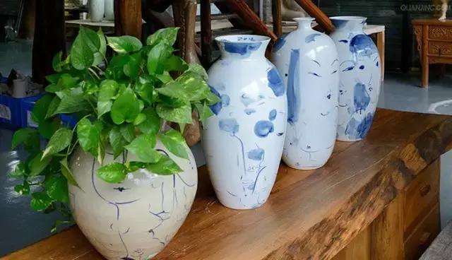 花卉摆放位置有讲究,风水上可以招财的花卉植物