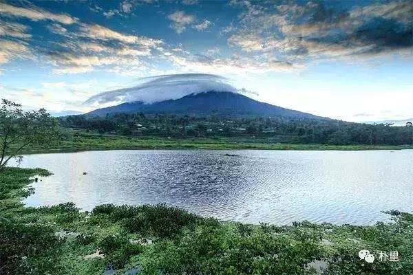 猫屎咖啡的由来和传说,传说中的猫咪咖啡