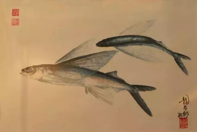 唯美鱼手绘画,唯美鱼手绘高级