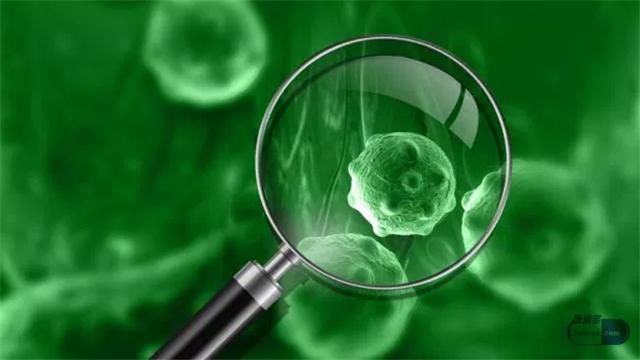 肿瘤患者可以吃转移因子吗,转移因子能引发癌症吗