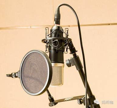 音乐人养成计划,音乐人养成