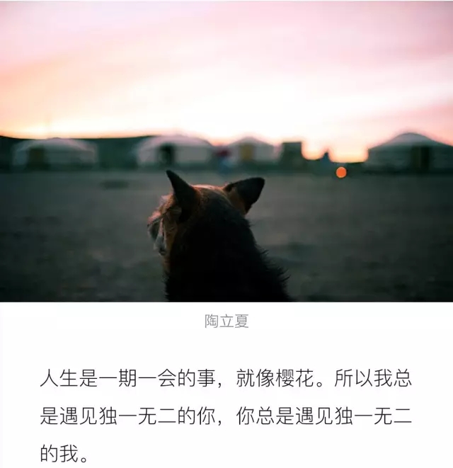 蓝胖子的时光机照片,蓝胖子有没有时光机