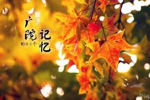 每天一所大学丨NO.6中国传媒大学