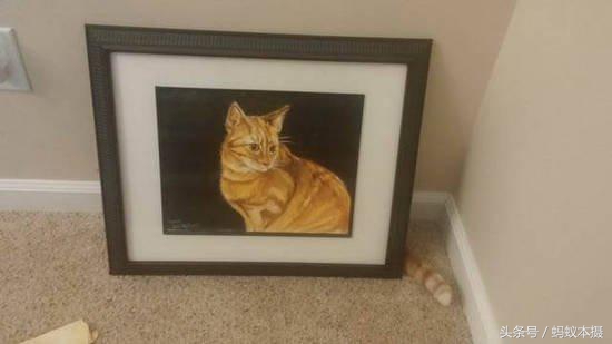 30张你一辈子也拍不到的照片,十种你一辈子都拍不到的照片