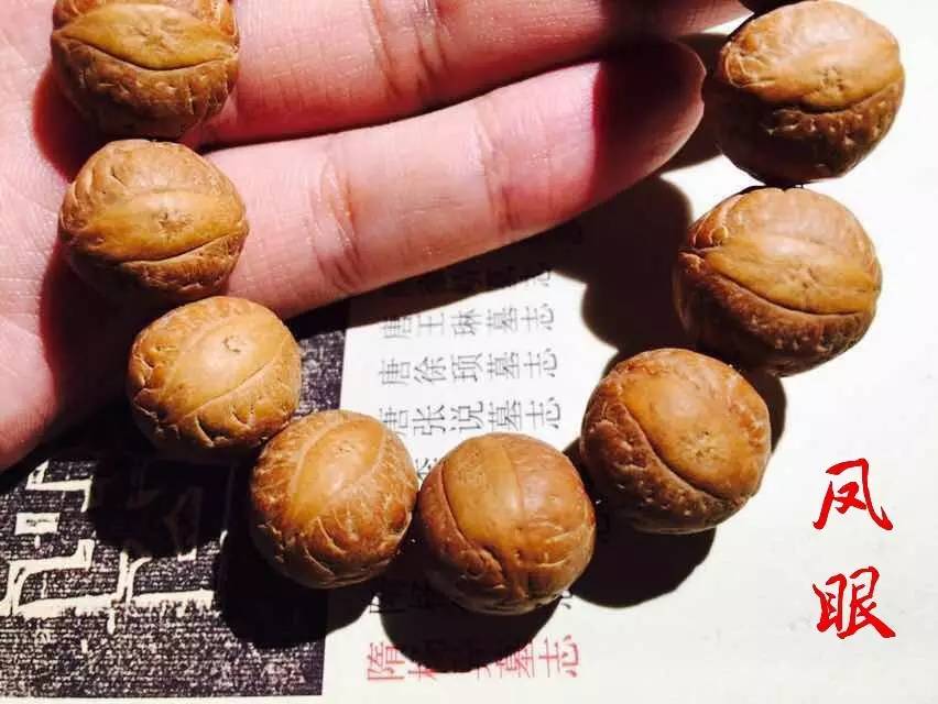 凤眼龙眼麒麟眼哪个眼睛不容易破,11.5-12毫米凤眼菩提麒麟眼