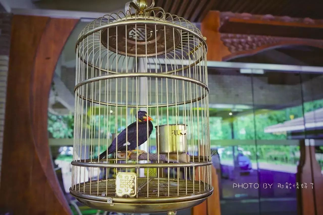 北京汤泉度假酒店排名,京城度假酒店