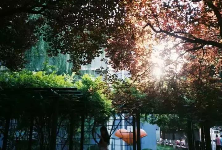 六次定格，带你探寻师大日起日落的故事