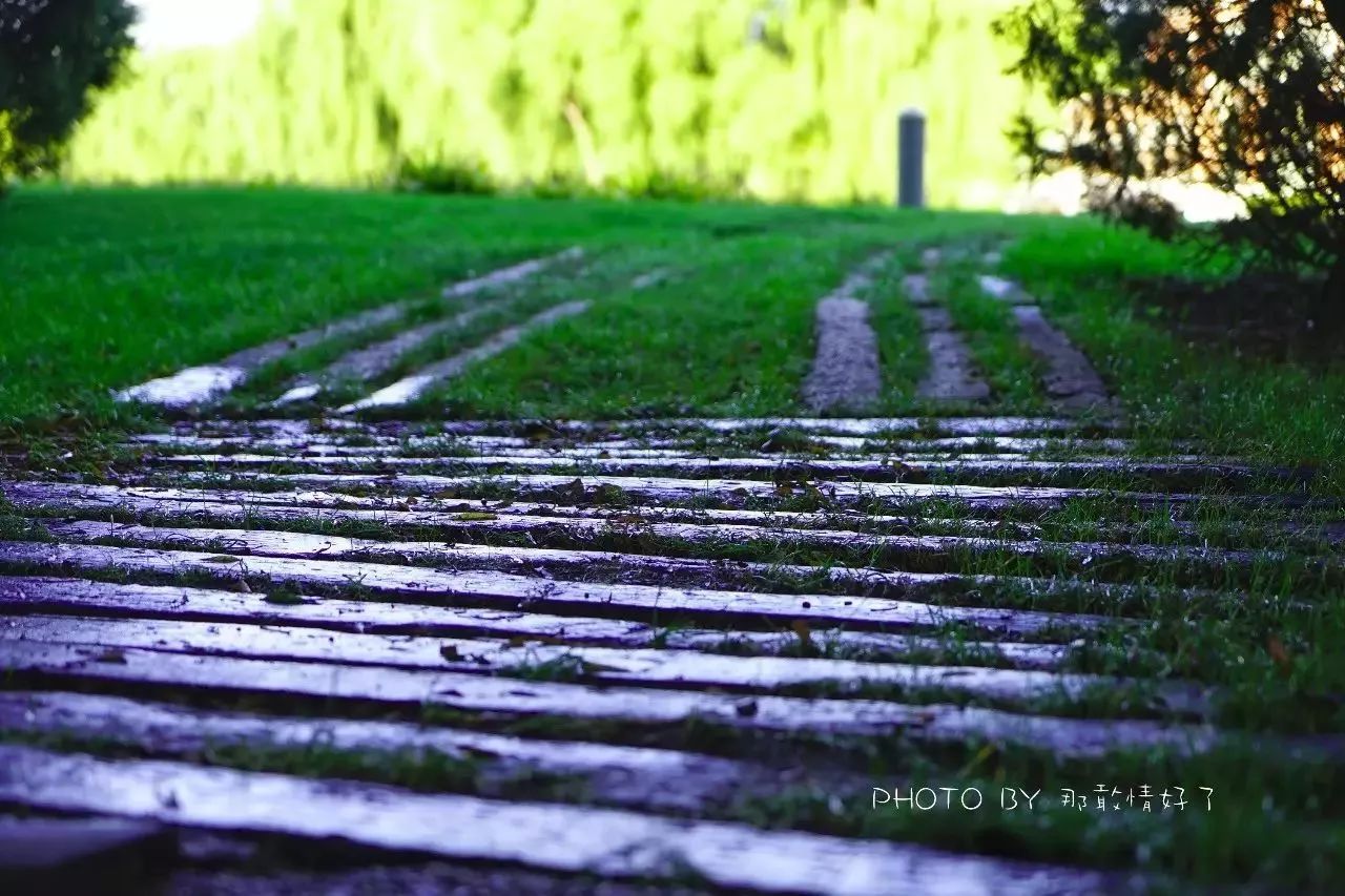 北京汤泉度假酒店排名,京城度假酒店