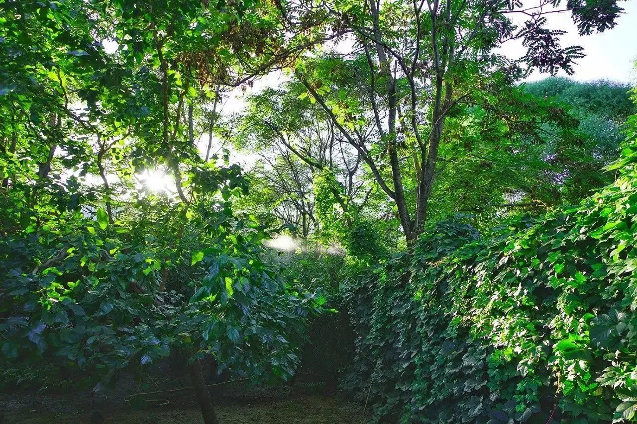 北京汤泉度假酒店排名,京城度假酒店