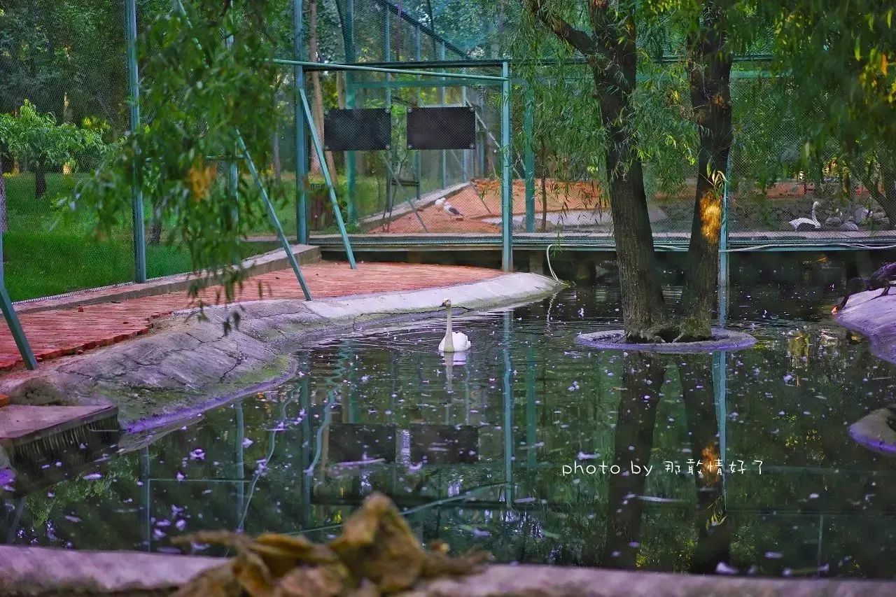 北京汤泉度假酒店排名,京城度假酒店