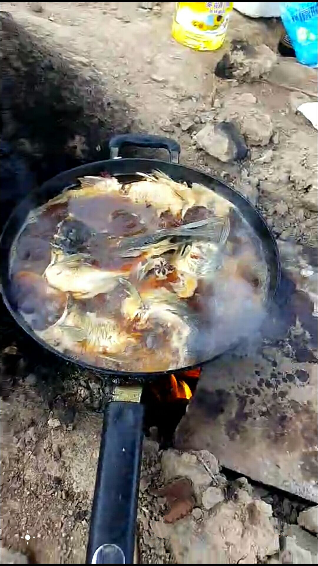 疯了！他驻钓水库35天，创下了3个纪录！