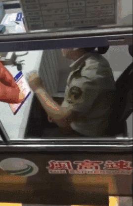 司机与收费员杠上！“你递啊”“你伸啊”！网友吵翻……