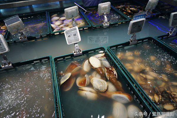 马云对于实体店和电商的看法,马云生鲜电商