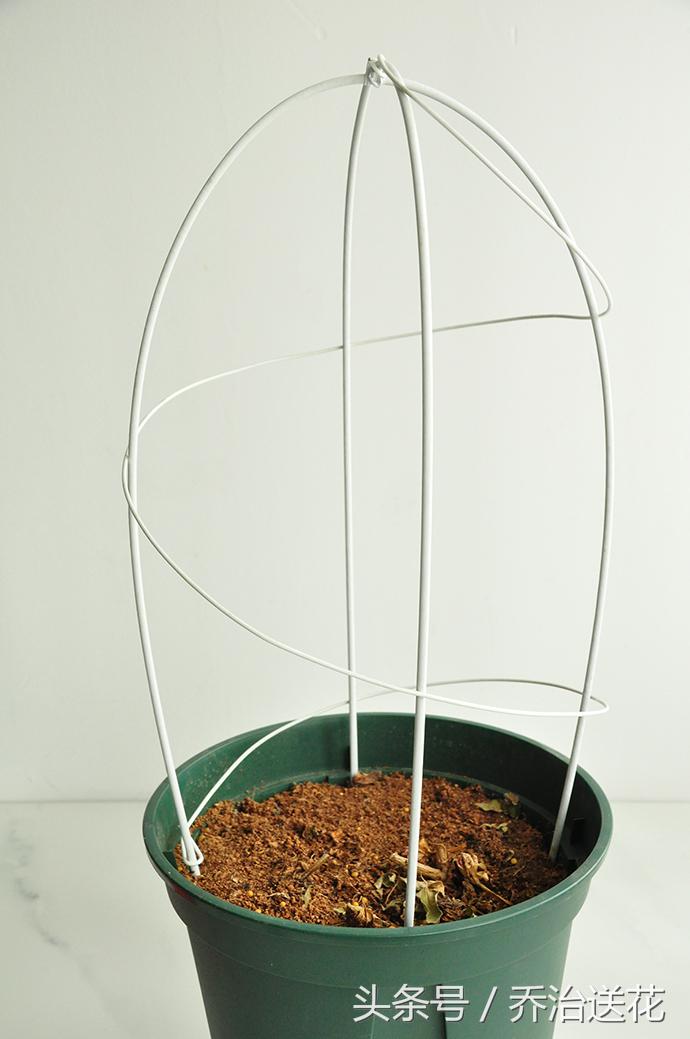 简易木板自制花架,diy自制花架制作方法