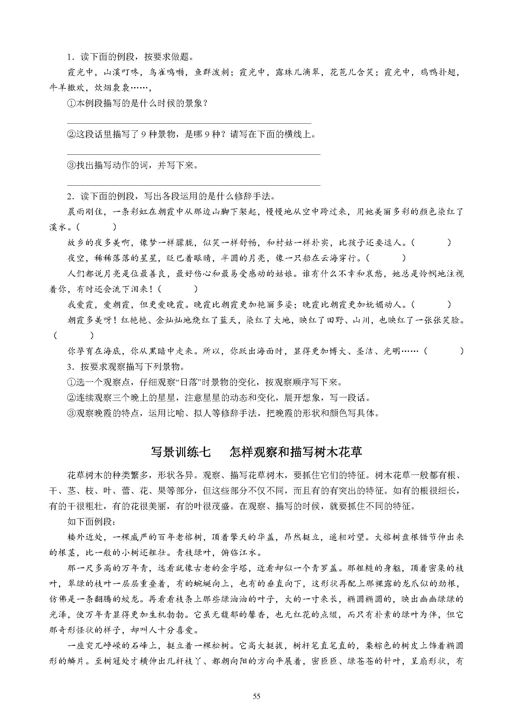 小学作文基本功训练方法,小学生作文入门基础知识讲解