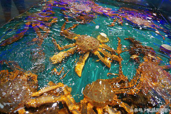 马云对于实体店和电商的看法,马云生鲜电商