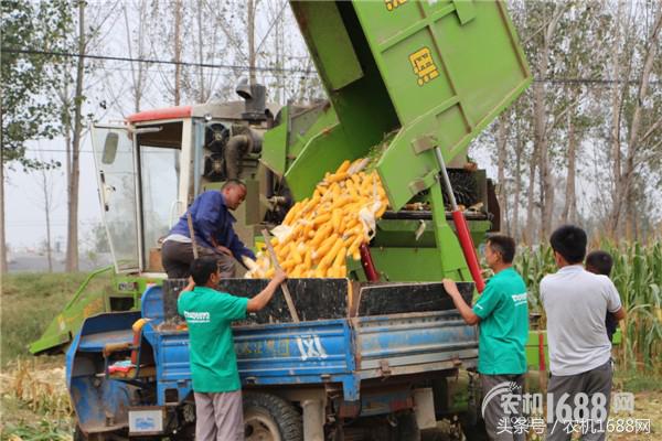 用户和玉米收获机的精神恋爱，良缘还是虐缘请看现场直播