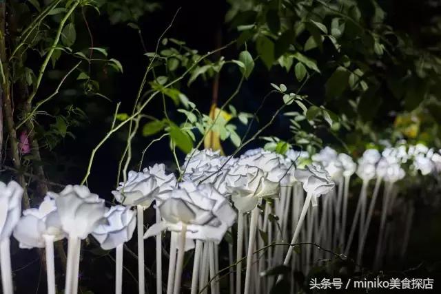 成都周边农场推荐,成都周边最有特色的农场