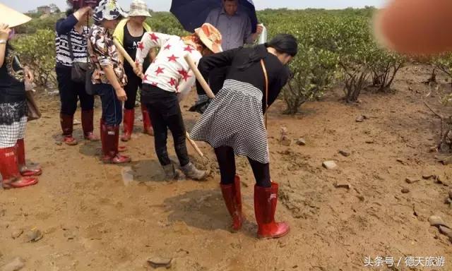 防城港的这片红树林，国庆要搞事情了，等你来撩~