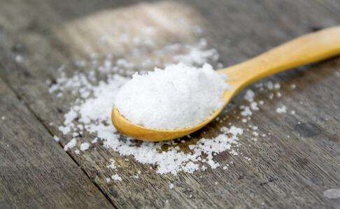 泰迪狗能吃咸,泰迪狗可以吃盐吗