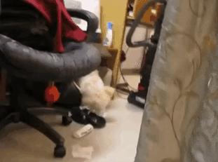 500万大奖彩票,500万买彩票能中多少