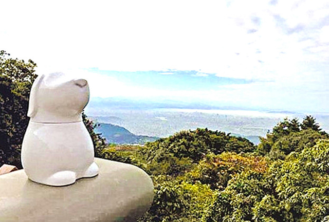 宠物葬礼全过程,给宠物办葬礼