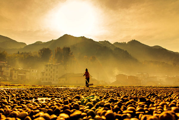 秒杀橄榄油的古代皇帝*用御**油获“油王”美称如今无人问津