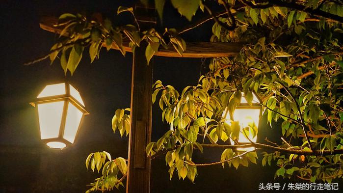 夜游南浔古镇感受江南水乡的美,江南六大古镇最值得一去的是南浔