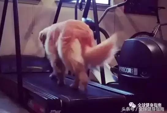 健身房哑铃比马桶脏362倍,光脚洗澡会溃烂?你的健身房还好吗?