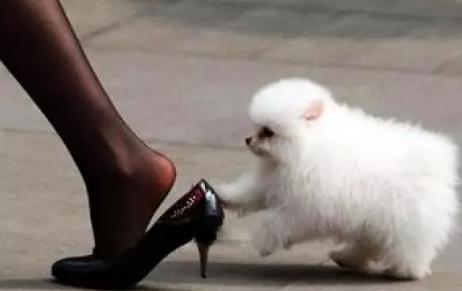 鞋子不跟脚是怎么回事,鞋子穿起来老是掉不跟脚怎么办