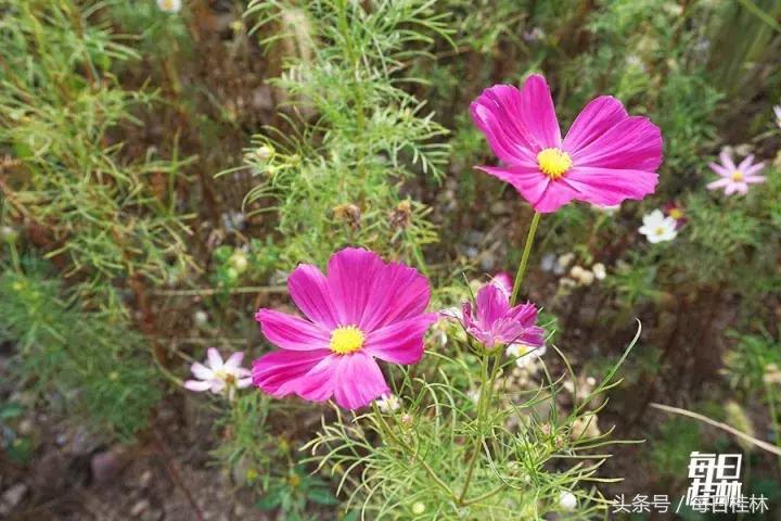 久违了,我的桂林电子科技大学!