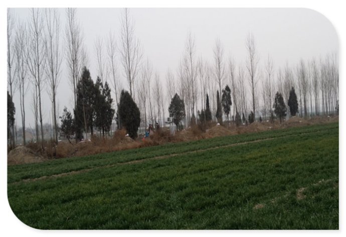 长安区马王镇新庄村,西安市古村古镇