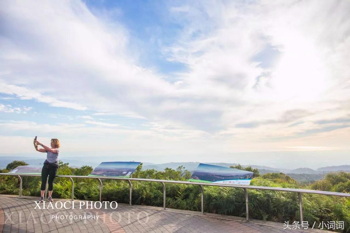 玩转南澳大利亚，这篇最全旅行攻略一定可以帮到你