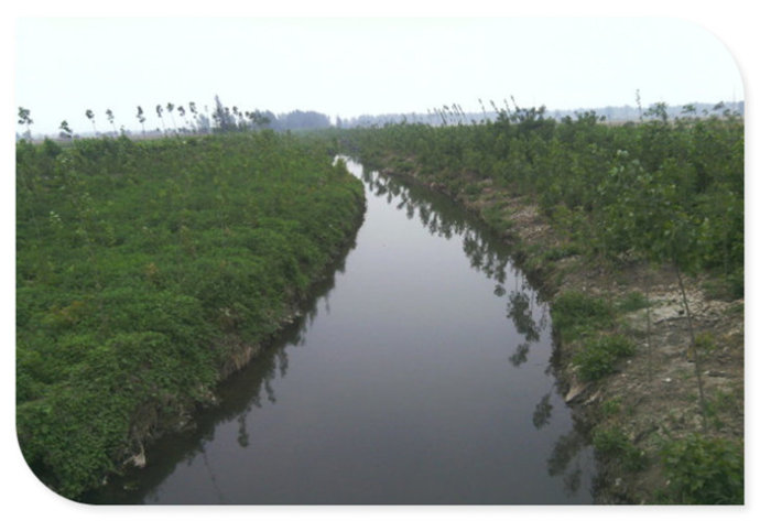长安区马王镇新庄村,西安市古村古镇