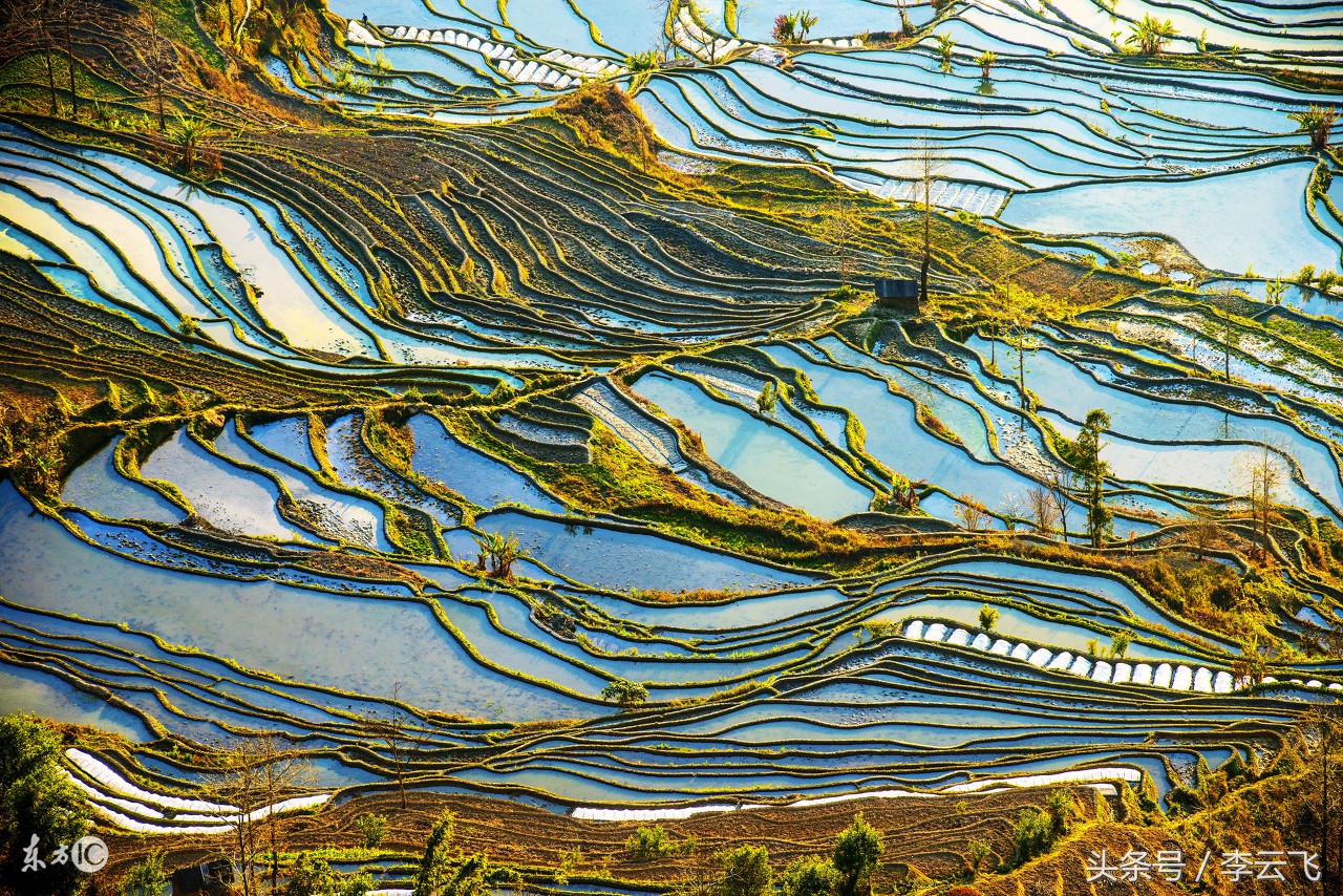 云南名人,嵩明素王:兰茂赋