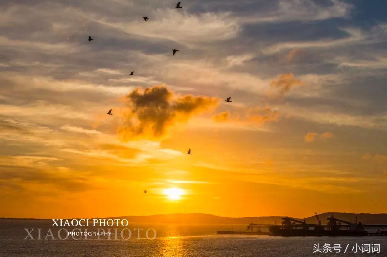 玩转南澳大利亚，这篇最全旅行攻略一定可以帮到你